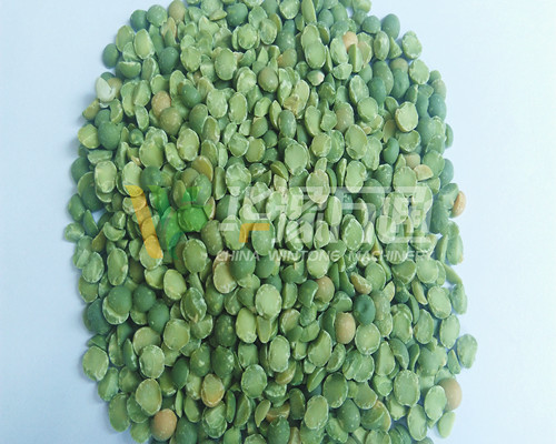 <a href=http://m.dlyrkj.cn/product/8/ target=_blank class=infotextkey>豌豆脫皮機(jī)</a>